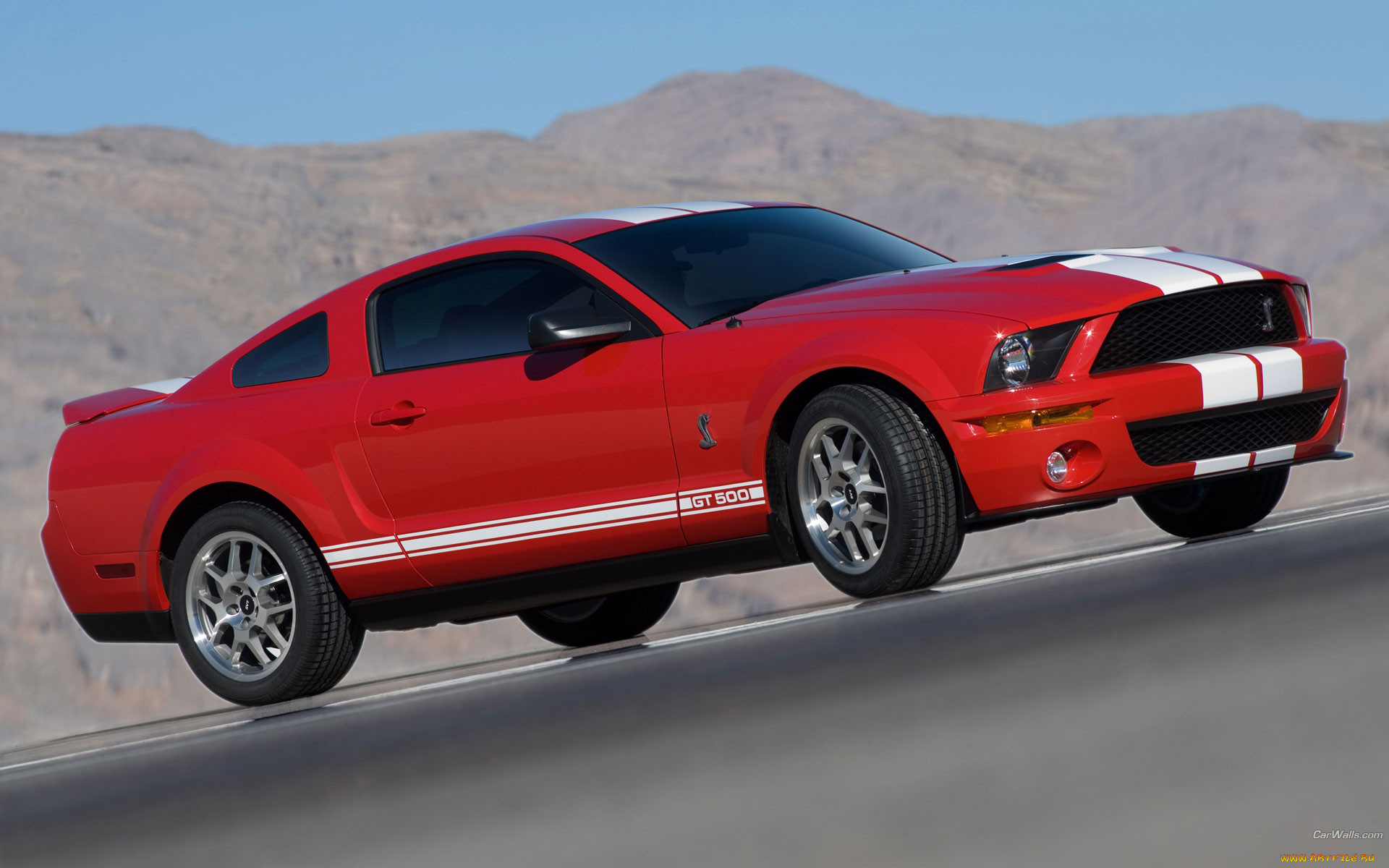 , mustang